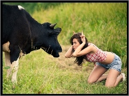 Śmieszne, Kobieta, Krowa
